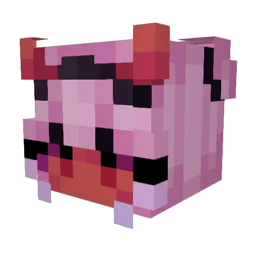 ilovebus Minecraft avatar head, 3D render
