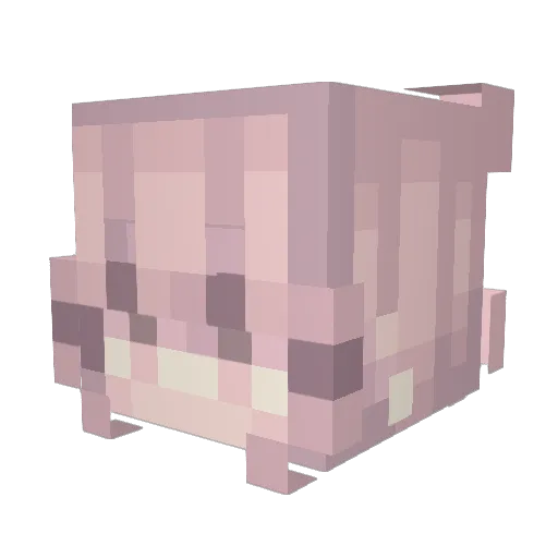 ilovecarley Minecraft avatar head, 3D render