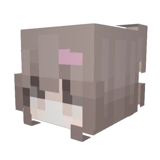 ilovecats13 Minecraft avatar head, 3D render