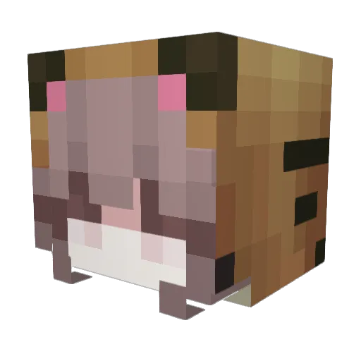 ilovecats73 Minecraft avatar head, 3D render
