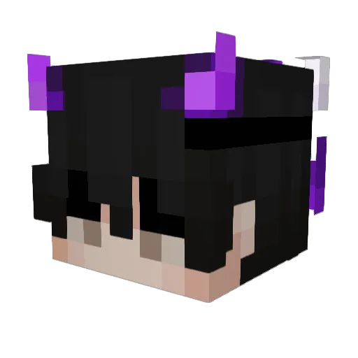 ilovechicken555 Minecraft avatar head, 3D render