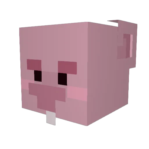 ilovedirt21 Minecraft avatar head, 3D render