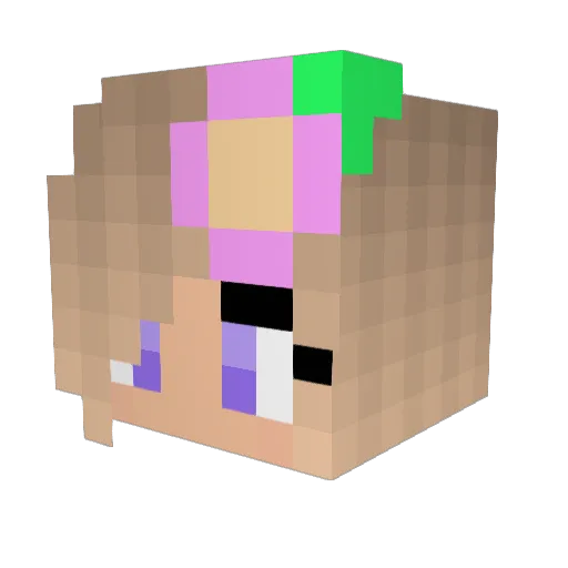 ilovedolphins78 Minecraft avatar head, 3D render