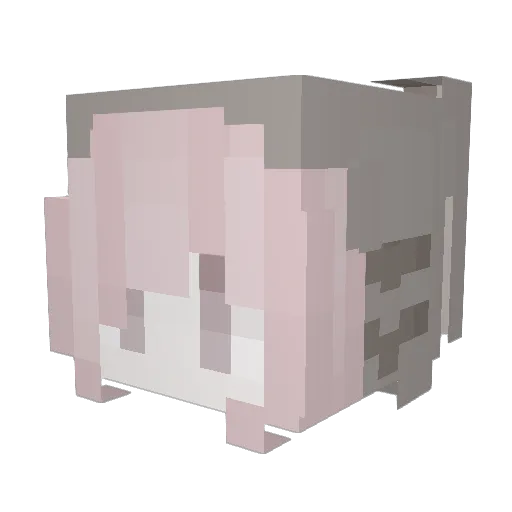 ilovedrakesbbc42 Minecraft avatar head, 3D render