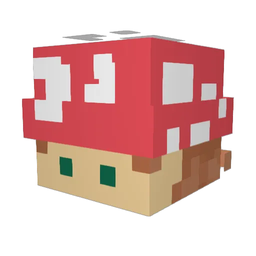ilovefungus Minecraft avatar head, 3D render