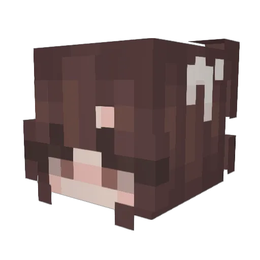 iloveglitter Minecraft avatar head, 3D render
