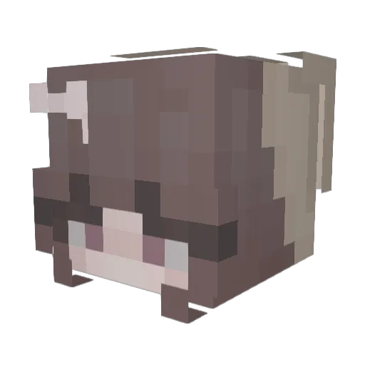 ilovejace Minecraft avatar head, 3D render