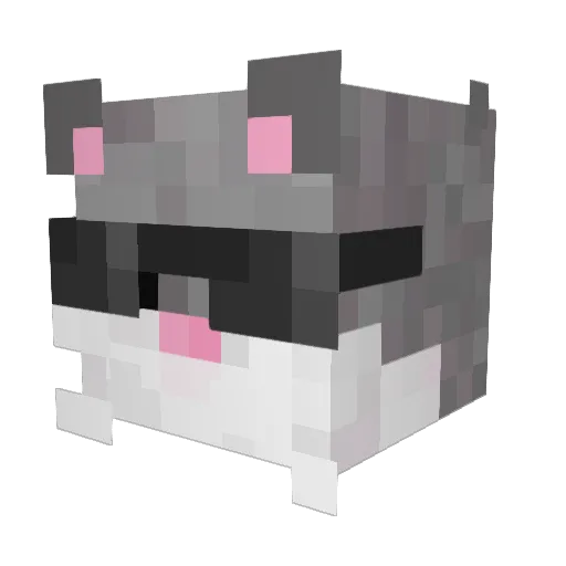 ilovemiillffss Minecraft avatar head, 3D render