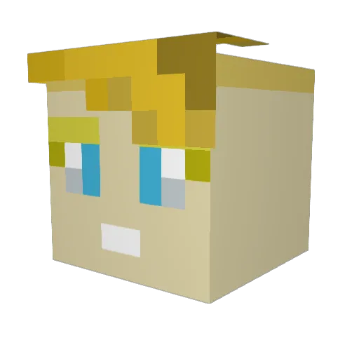 ilovenanook Minecraft avatar head, 3D render