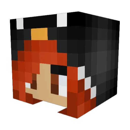 ilovepenguin18 Minecraft avatar head, 3D render