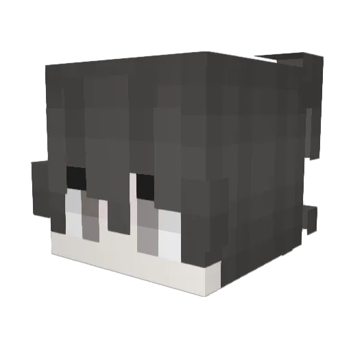 ilovesd2016 Minecraft avatar head, 3D render