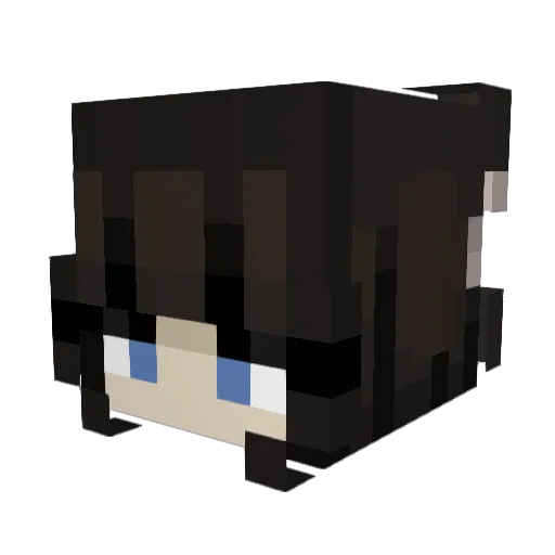 ilovesleepingyay Minecraft avatar head, 3D render