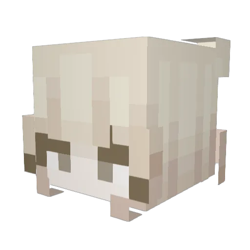 ilovetoasty Minecraft avatar head, 3D render