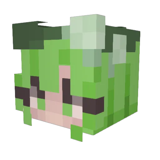 ilovewobble Minecraft avatar head, 3D render