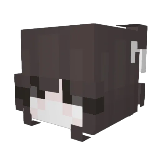 ilovwZoro Minecraft avatar head, 3D render