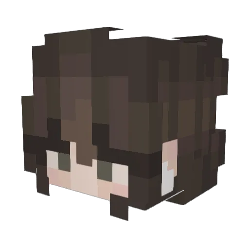 iluvcats428 Minecraft avatar head, 3D render
