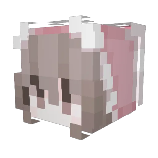 iluvsnoopyy Minecraft avatar head, 3D render