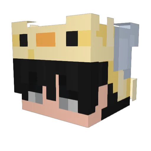 ilwhankorea Minecraft avatar head, 3D render