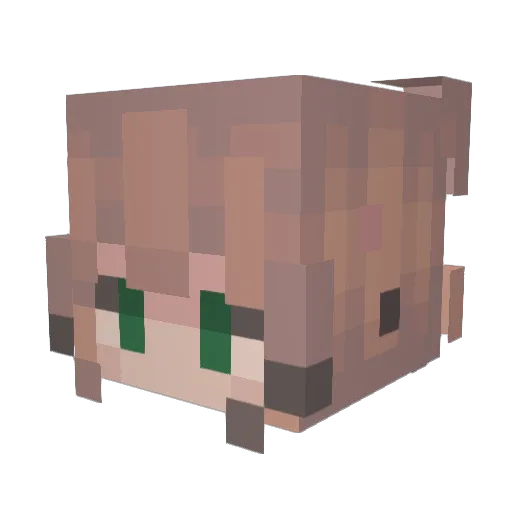 ily479 Minecraft avatar head, 3D render