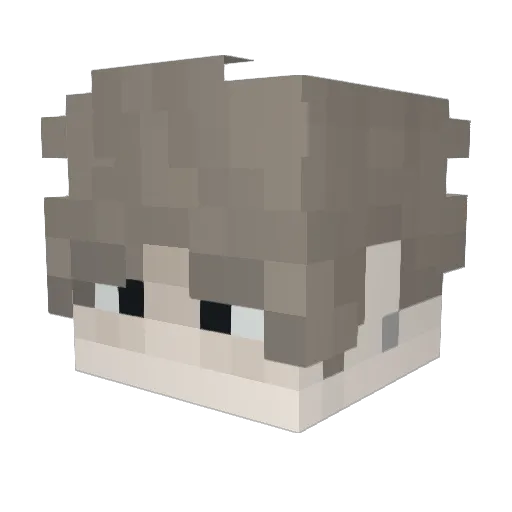 ilyAlexs Minecraft avatar head, 3D render