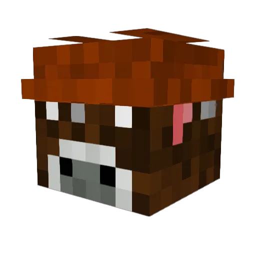 ilyRKY Minecraft avatar head, 3D render