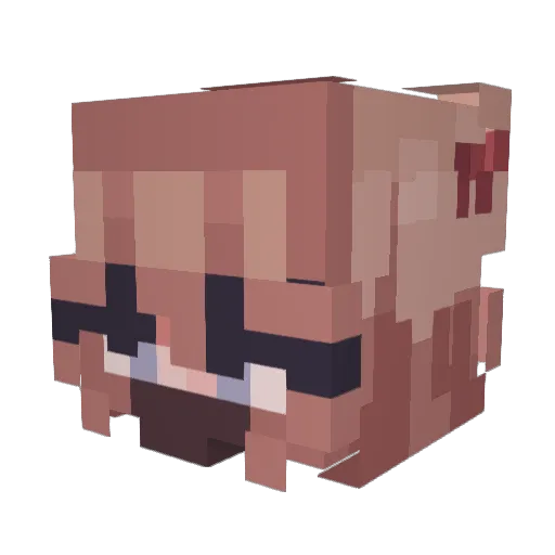 ilyary Minecraft avatar head, 3D render