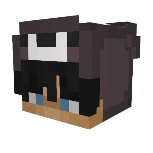 ilydee Minecraft avatar head, 3D render