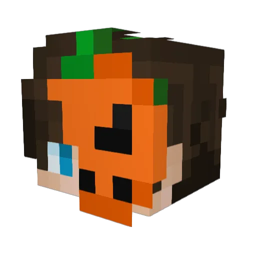 ilyleaf Minecraft avatar head, 3D render