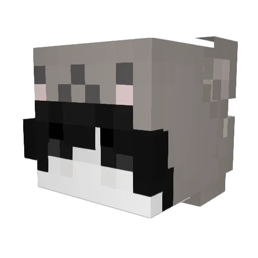 ilymem Minecraft avatar head, 3D render