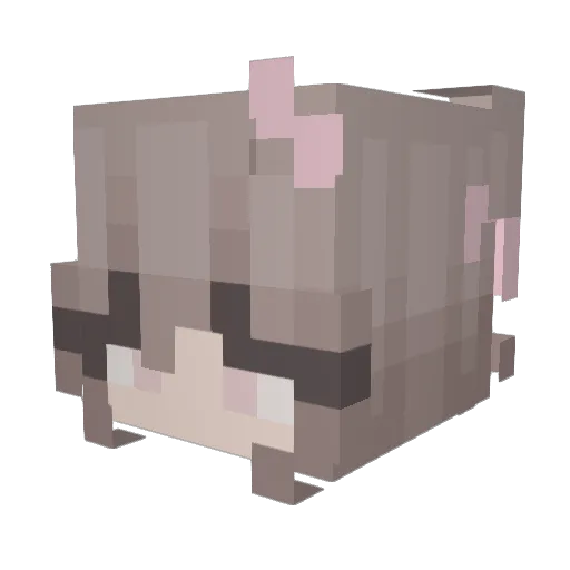 ilyriri Minecraft avatar head, 3D render