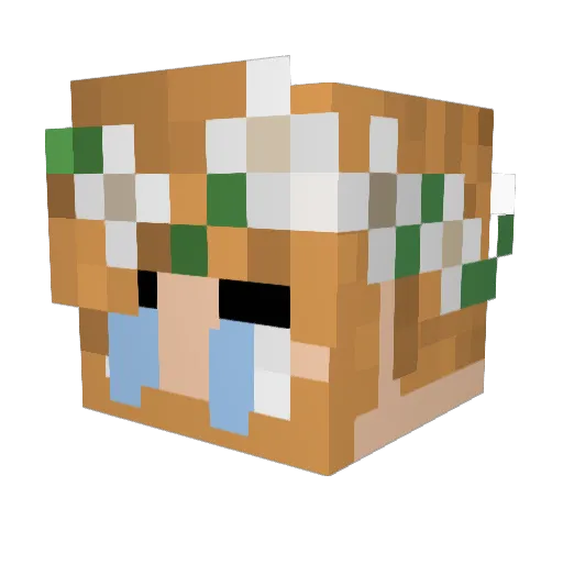 im3nuron Minecraft avatar head, 3D render