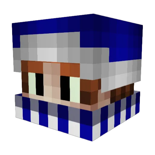 imFlappy Minecraft avatar head, 3D render