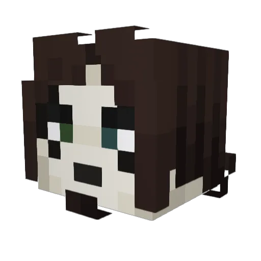 imRER Minecraft avatar head, 3D render