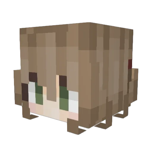 imVERYevil Minecraft avatar head, 3D render
