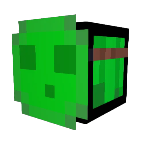 im_a_turtle96 Minecraft avatar head, 3D render