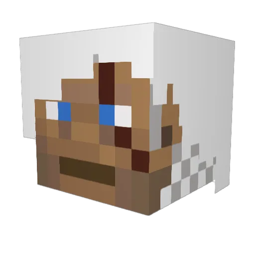 im_han_solo_ Minecraft avatar head, 3D render