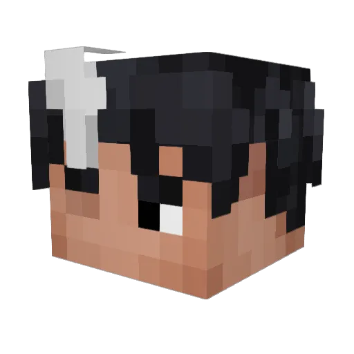 im_lucha Minecraft avatar head, 3D render