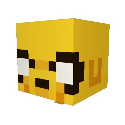 im_megan Minecraft avatar head, 3D render