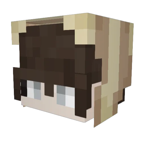 im_not_abird Minecraft avatar head, 3D render