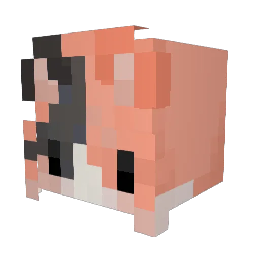 im_sushi Minecraft avatar head, 3D render