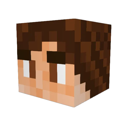 ima_bucket123 Minecraft avatar head, 3D render