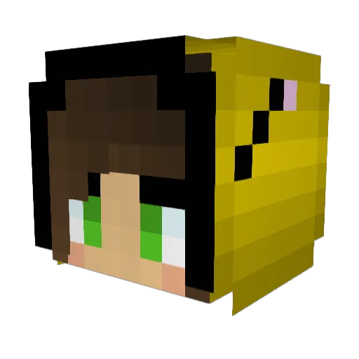 imabee101 Minecraft avatar head, 3D render