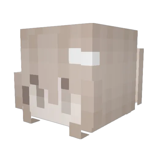 imabunnylol Minecraft avatar head, 3D render