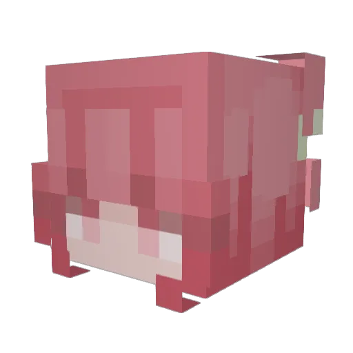 imacakee Minecraft avatar head, 3D render