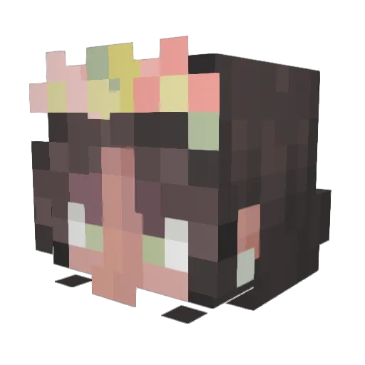 imacowmoo0904 Minecraft avatar head, 3D render