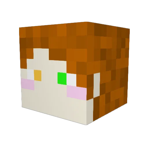 imae07 Minecraft avatar head, 3D render