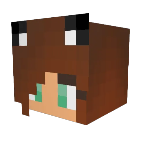 image00 Minecraft avatar head, 3D render