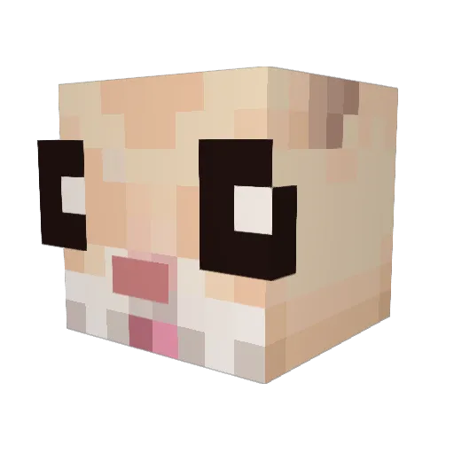 imagicalFantasy Minecraft avatar head, 3D render