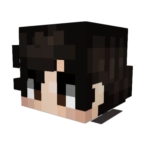 imaginarynight Minecraft avatar head, 3D render