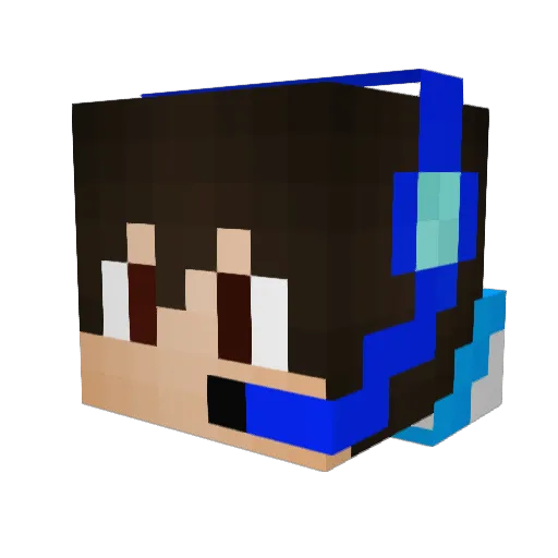 imaminecraftdude Minecraft avatar head, 3D render